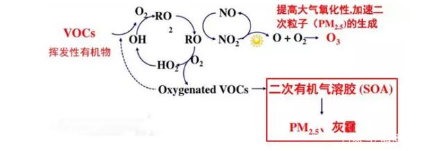 1634103744332417.jpeg 2.jpeg